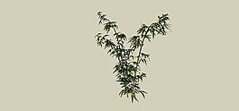 柱子