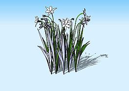 花草3D模型