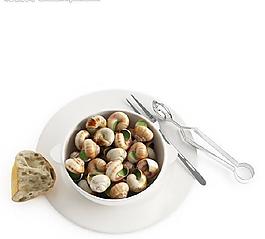 食物 食品