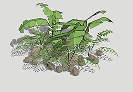 灌木3D模型