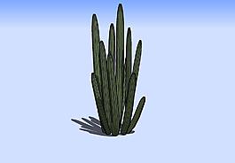 花草3D模型