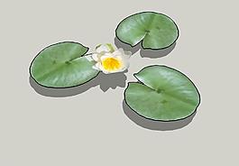 花草3D模型