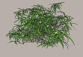 花草3D模型