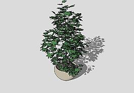 盆景3D模型