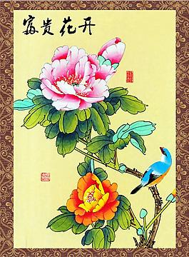 牡丹花