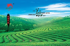 海報設(shè)計