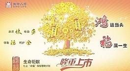 生命人壽