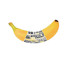 公司海报