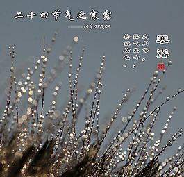 寒露