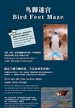 迷宫科普