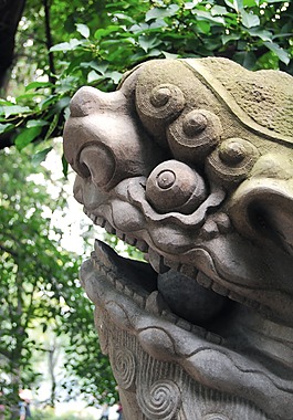 獅子頭圖像