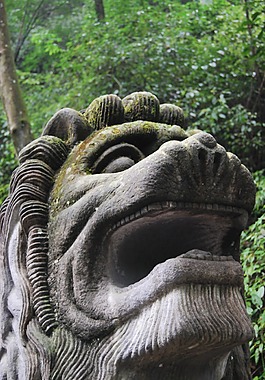 狮子头像
