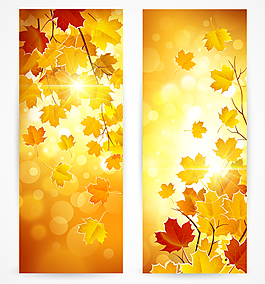 夢幻秋葉banner