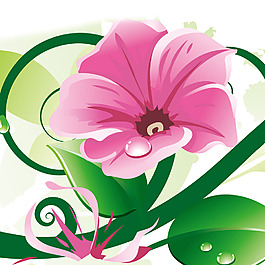 喇叭花素材