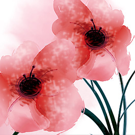 渲染花素材