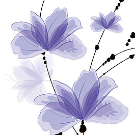 蜻蜓無(wú)框畫(huà)