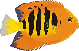 金魚