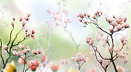 移門(mén)花卉