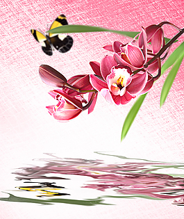 蘭花水紋背景