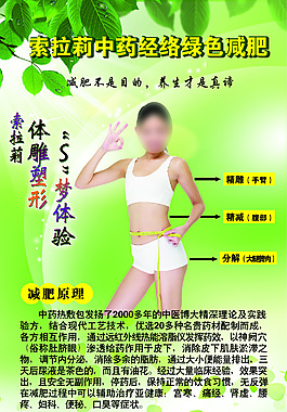 中藥經絡綠色減肥體雕塑形展板KT板