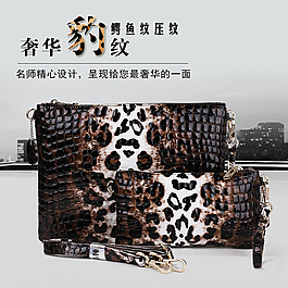 女包直通車奢華圖片