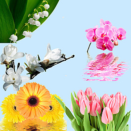鮮花