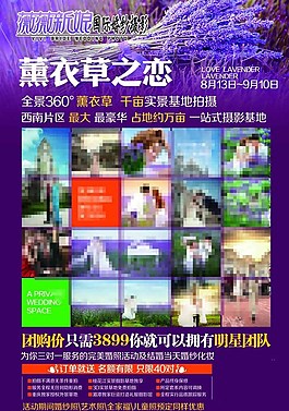 薰衣草之戀影樓圖片