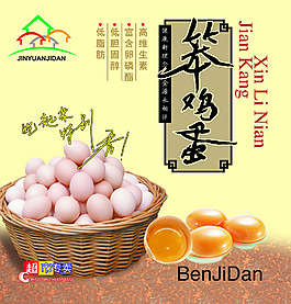 雞蛋帶給您健康新理念