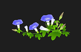 動態(tài)唯美牽牛花