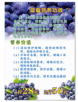 藍莓營養(yǎng)功效海報