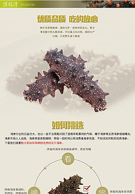 淘寶寶貝海參詳情頁面PSD