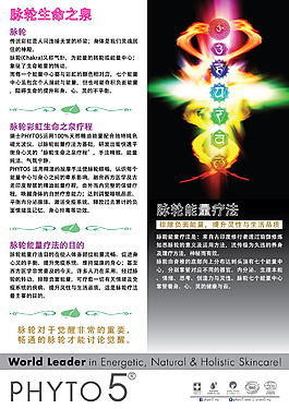 脈輪生命之泉
