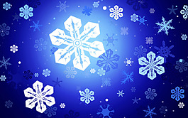 大雪花