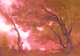 紅色水彩油畫