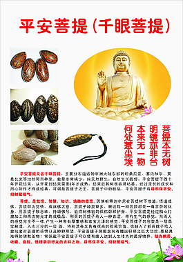 平安菩提
