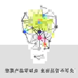 燈泡構架