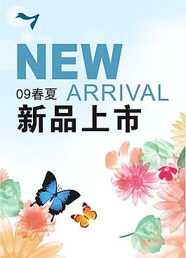 菊花蝴蝶素材