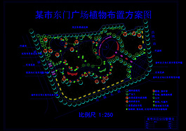 某市東門廣場植物布置方案圖