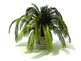 室內植物3d模型