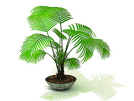 室內植物3d模型