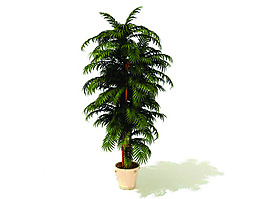 室內植物3d模型