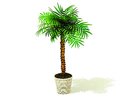 室內植物3d模型