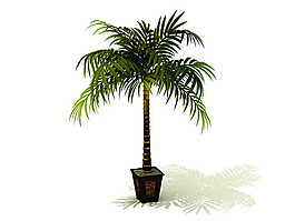 室內植物3d模型
