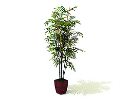 室內植物3d模型
