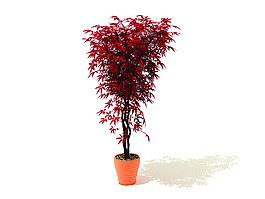 室內植物3d模型