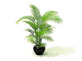 室內植物3d模型