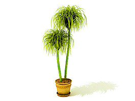 室內植物3d模型