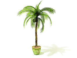 室內植物3d模型