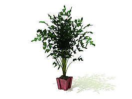室內植物3d模型