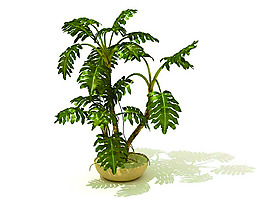 室內植物3d模型